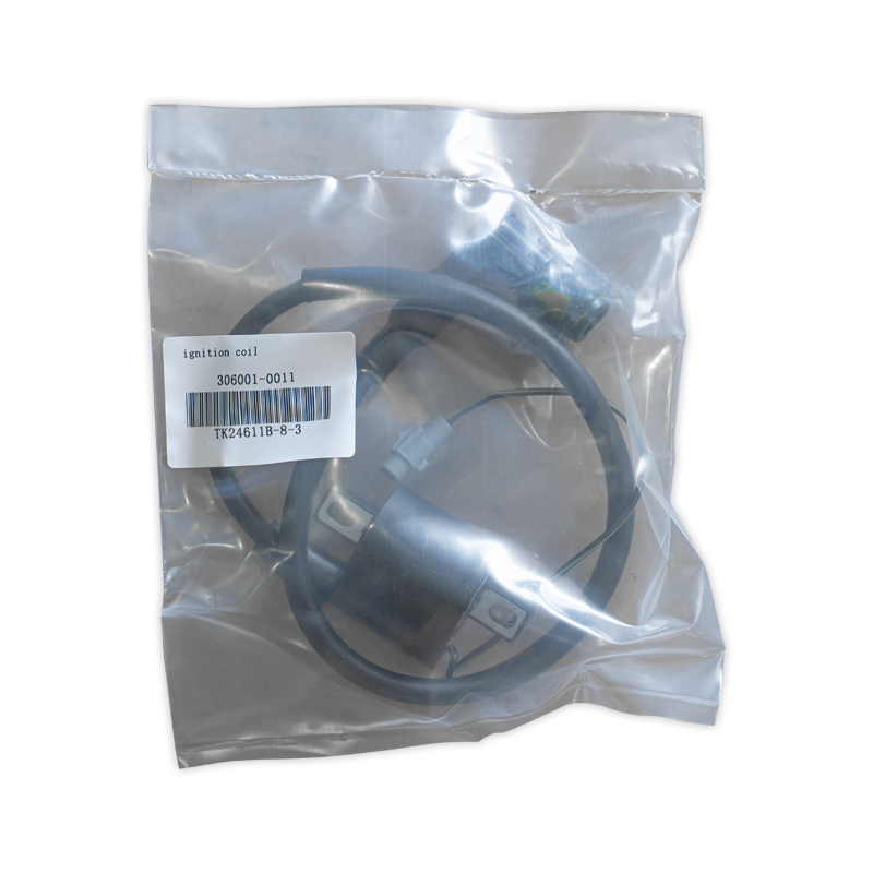 Kayo K2 ENDURO A150 AU150 ignition coil